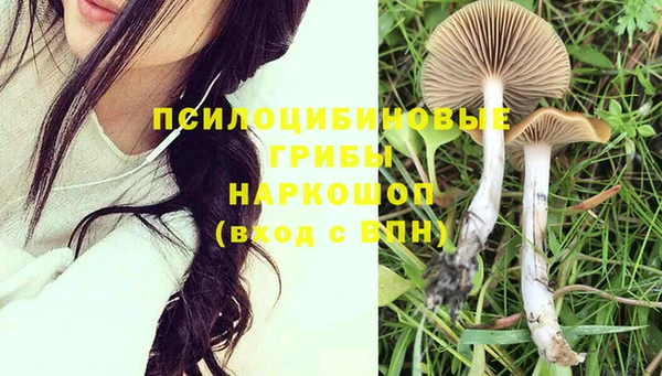 спайс Бородино