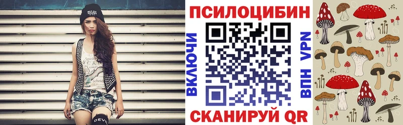 KRAKEN онион  Вязники  мориарти какой сайт  Псилоцибиновые грибы Cubensis 