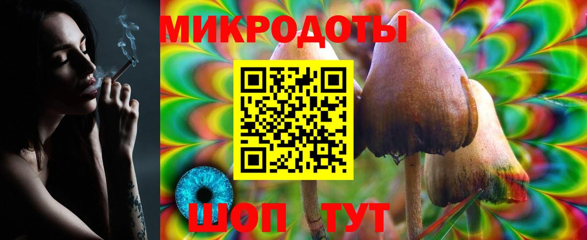 Псилоцибиновые грибы прущие грибы Вязники