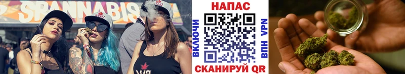 продажа наркотиков  Вязники  Бошки Шишки конопля 